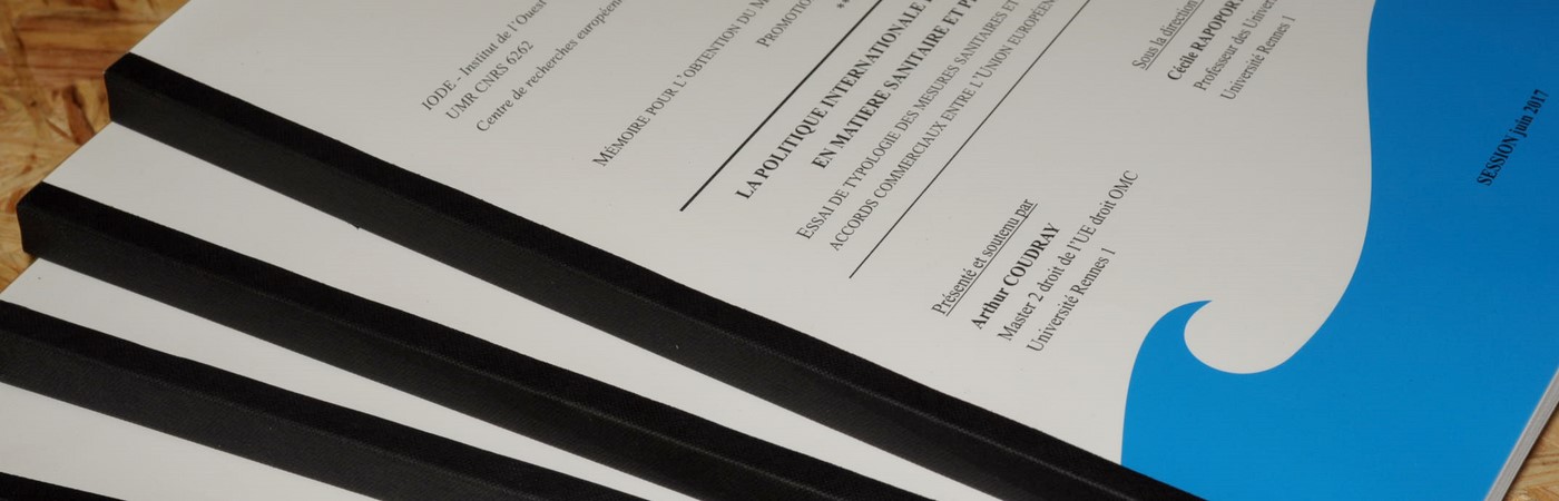 Rapports, thèses, catalogues